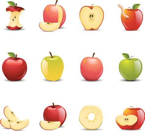 16,100+ Apple Slices Stock Illustrations, Royalty-Free Vector Graphics ...