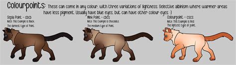 Cat Genetics Guide - Colourpoints by willowwispp on DeviantArt