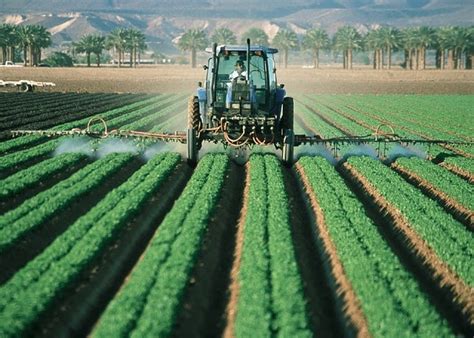 Agricultura Intensiva