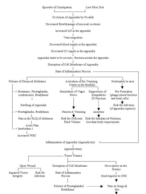 Pathophysiology Of Appendicitis Inflammation Medical Specialties