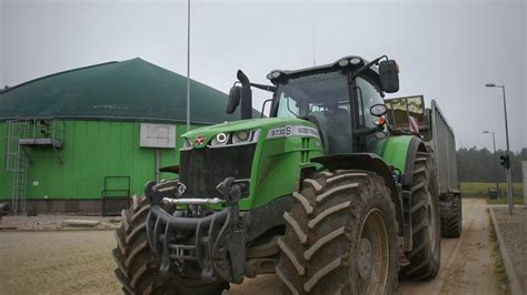 Koszenie Kukurydzy Na Wielką Skalę 2021Zielony Massey Ferguson