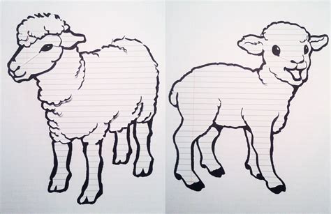 Sheep - Drawing Skill