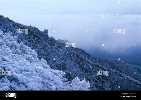 Jeju Island snow scene of Halla mountain winter Stock Photo - Alamy