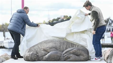 Sculpture of Freya the Walrus unveiled in Oslo - Abirpothi