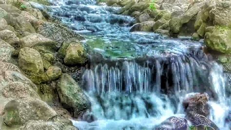 5 Minutes Relaxing Nature Sounds Waterfall With Bird Sounds Back To