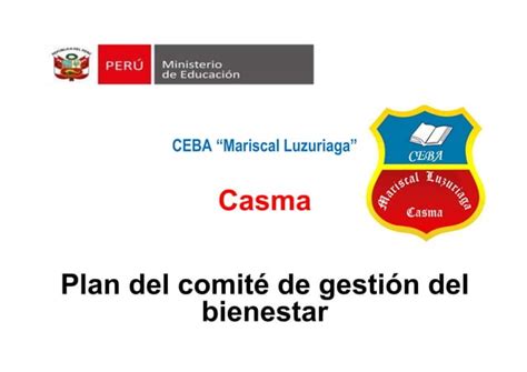 Plan De Comite De Gesti N Del Bienestar Docx