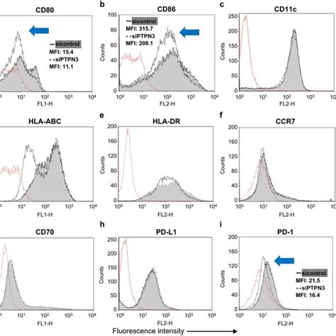 Ptpn Increases The Expression Of Costimulatory Molecule In Immature