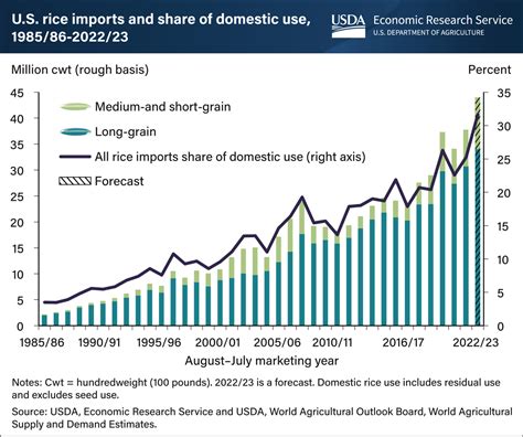 Drought Drives US Rice Production Down Imports Up BRINK