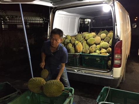 Kampung Durians Musang King Now At Fruit Valley Pelita Miri Miri