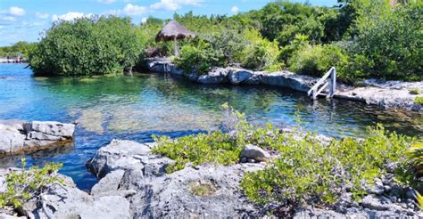 Private Tour Great Snorkeling Adventure At The Riviera Maya