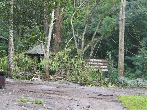 Balai Ksda Bali Bencana Longsor Di Kawasan Twa Danau Buyan Tamblingan