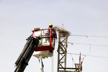 Endesa Instala Nuevos Prototipos Para Impedir Que Las Cig E As