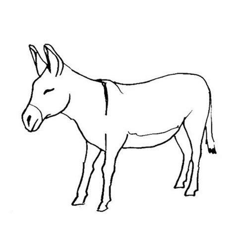 Desenhos De Burro Para Imprimir E Colorir Pintar