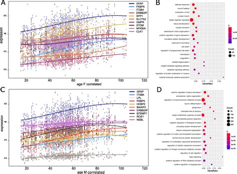 Genes Up Regulated During Aging Are Associated With The Astrocyte