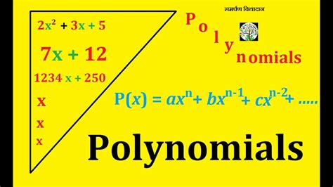 Polynomials Zeroes Of A Polynomial Geometrical Representation Of