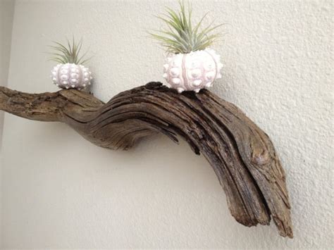 Driftwood Wall Decor