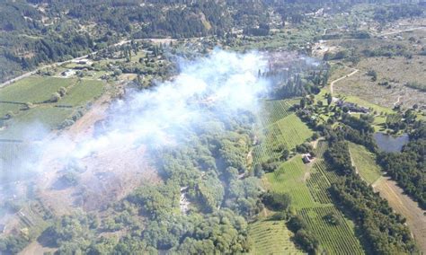 Controlaron Incendio En La Comarca Andina En Cercanías Al Paralelo 42º