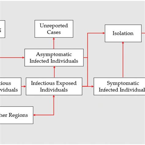 Structure Of Infectious Diseases Dynamic Model Download Scientific Diagram