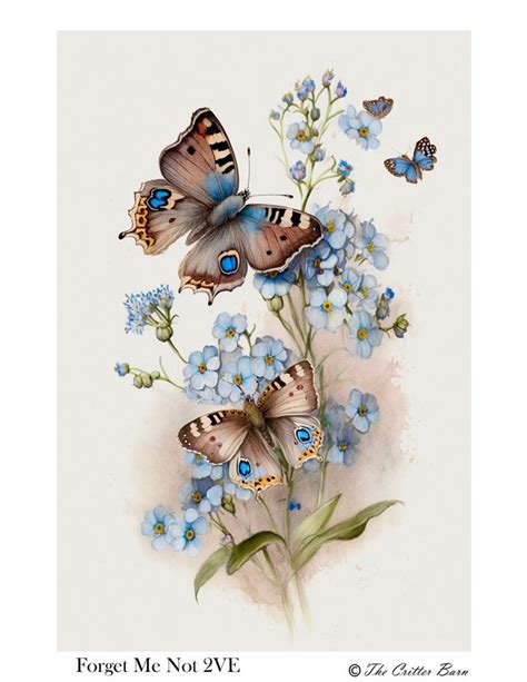 Lovely Flowers Wallpaper Butterfly Wallpaper Butterfly Art