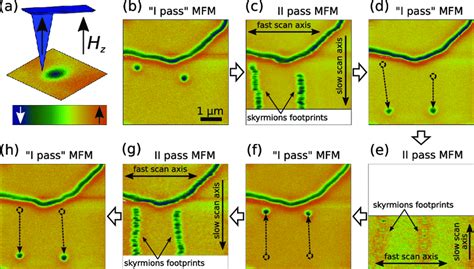 Magnetic Force Microscopy Mfm Imaging Of Individual Skyrmions And