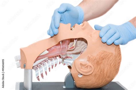 Head Tilt Maneuver Used To Open The Airway Of An Unconscious Patient