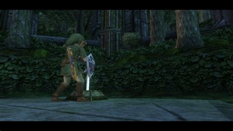 Twilight Princess Walkthrough Sacred Grove Round Two Zelda Dungeon