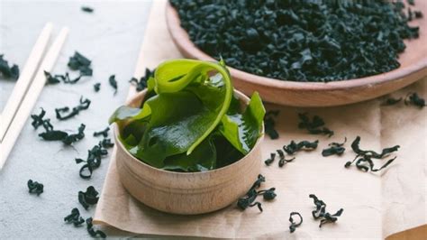 What Is Wakame Seaweed The Health Benefits Of Wakame