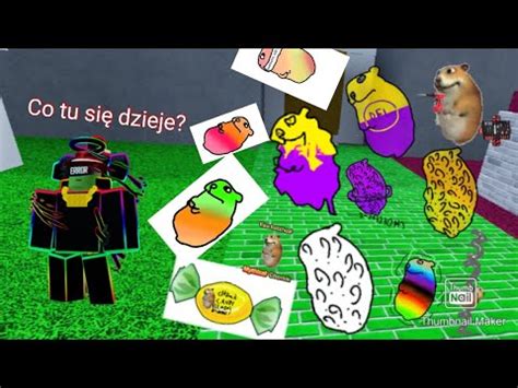 znowu pokazuje jak zdobyć wszystkie chomiki w mojej grze na roblox