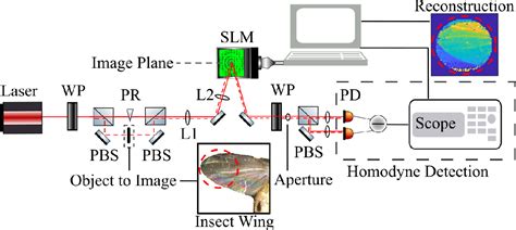 PDF Wave Front Reconstruction Via Single Pixel Homodyne Imaging