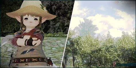 Final Fantasy 14 Anleitung Zum Leveln Des Botanikers 1 90 ️ Gamebizz