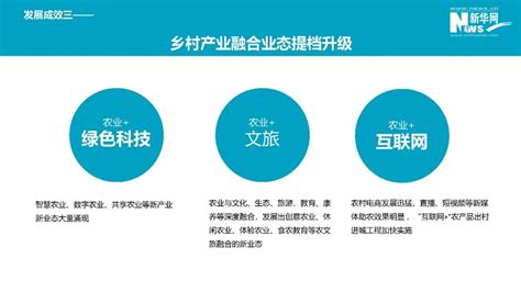 中国乡村振兴产业融合发展报告 河南旅游研究院