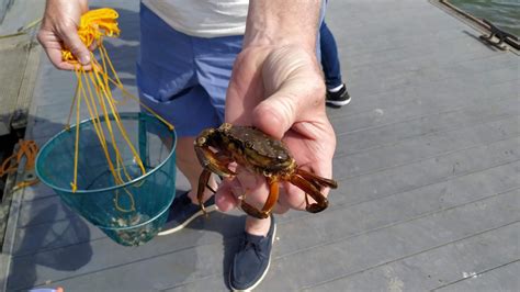 Crabbing Visit Brightlingsea