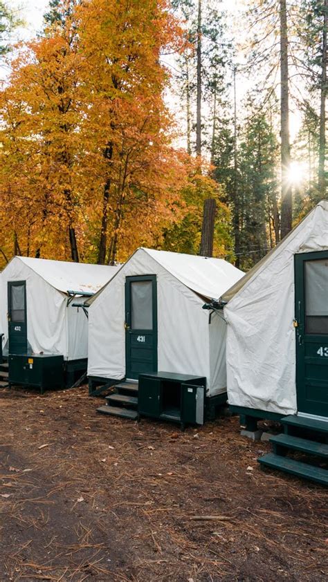 Curry Village Tent Cabins | Fun Life Crisis