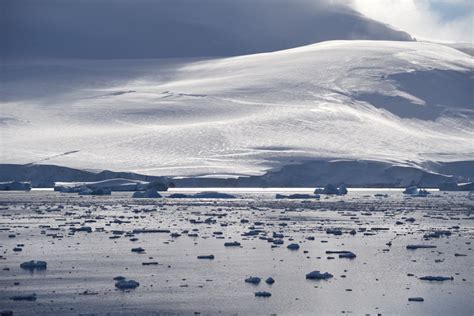 Antarctica Elephant Is Weddell Zee En Poolcirkel