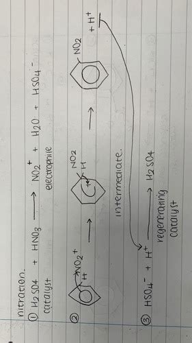 Electrophilic Substitution Of Benzene Flashcards Quizlet