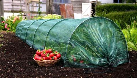 Green Net For Garden A Comprehensive Guide