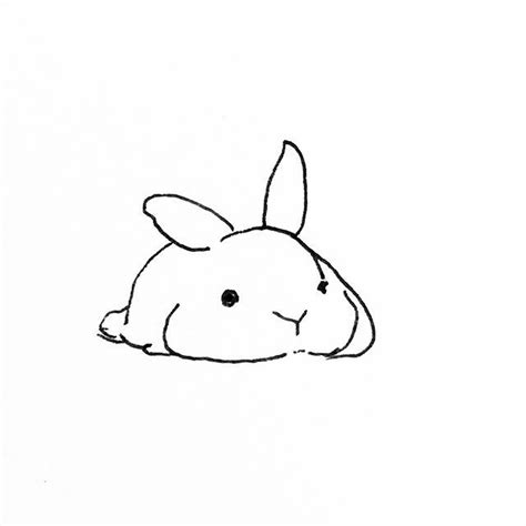 Cute Rabbit Drawing ~ easy drawing cool