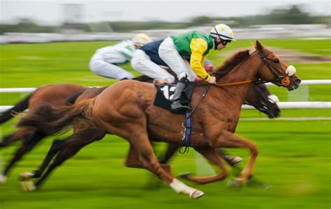 Sucesso como Corrida de Cavalos - Instituto Camila Loyolla ...