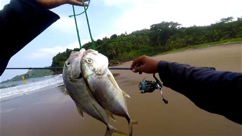 Berburu Ikan Predator Di Pantai Selatan Dengan Tehnik Casting Umpan