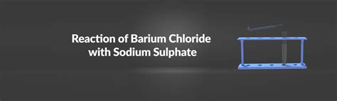 Reaction Of Barium Chloride With Sodium Sulphate On SideQuest Oculus