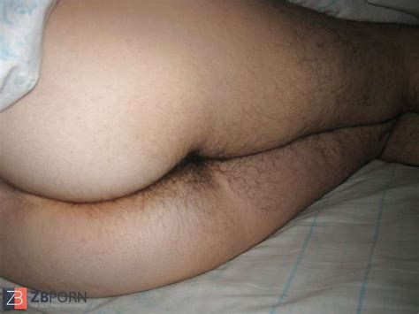 Some Fur Covered Bum ZB Porn