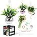 Amazon Dazzlo Hanging Disco Ball Planter Disco Planter With