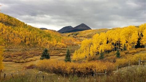 Free stock photo of aspen trees, mountains