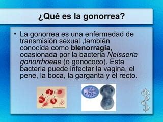 Enfermedades De Transmision Sexual La Gonorrea PPT