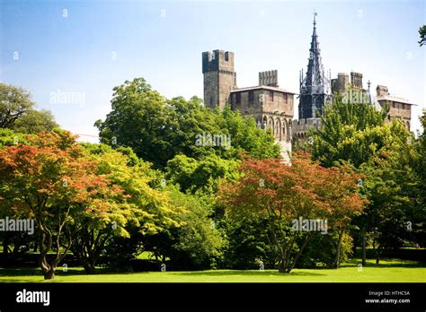 Cardiff Castle from Bute Park Stock Photo - Alamy