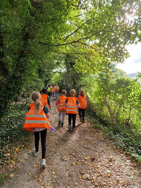 Cubs And Beavers Hike And Hammock 4th Sevenoaks Scout Group