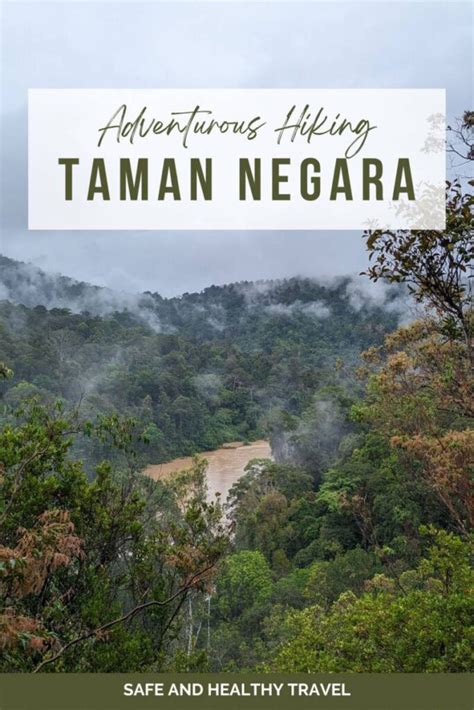 Visit The World S Oldest Rainforest The Taman Negara Hiking In The