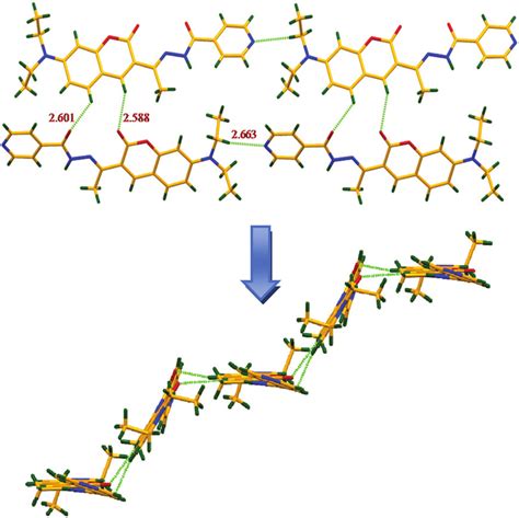 Formation Of Ladder Like Supramolecular Architecture Of Receptor 1 Due Download Scientific