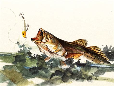 Don Breeden Spooked Speckled Trout Giclee Quarter Sheet Brand New Cu