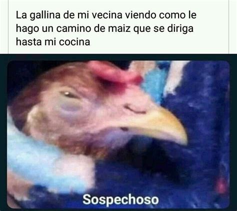 Sospechoso Memes Divertidos Memes Español Graciosos Meme Gracioso